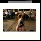 jrb-IMG_3597