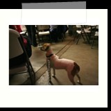 jrb-IMG_3606