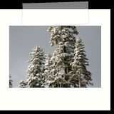 IMG_3235